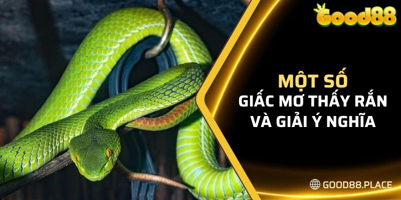 Giải Mã Giấc Mơ Thấy Rắn Và Gợi Ý Bộ Số May Mắn Nhất 2024 5 Một số giấc mơ thấy rắn và giải ý nghĩa chi tiết