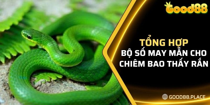 Giải Mã Giấc Mơ Thấy Rắn Và Gợi Ý Bộ Số May Mắn Nhất 2024 7 Tổng hợp bộ số may mắn đối với từng chiêm bao thấy rắn